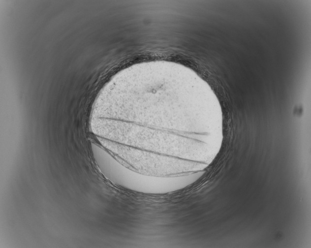 X0000112921249200910051059