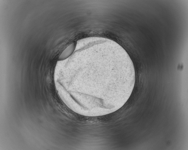 X0000112921250200910051059