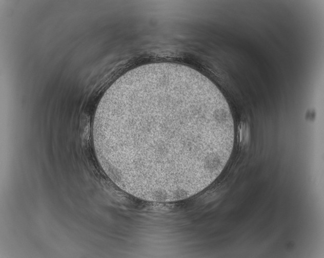 X0000112921251200910051059