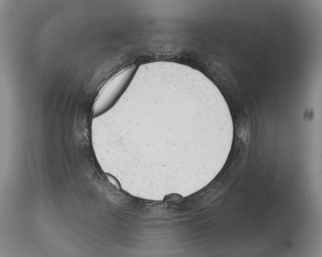 X0000112921252200910051059