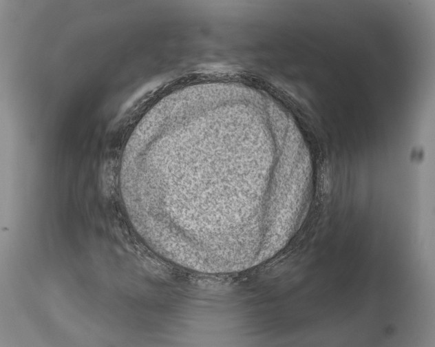 X0000112921254200910051059