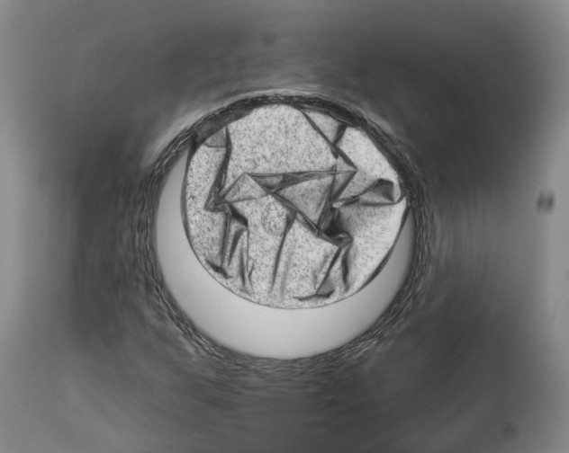 X0000112921255200910051059