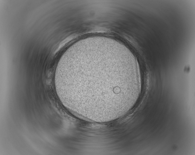 X0000112921258200910051059