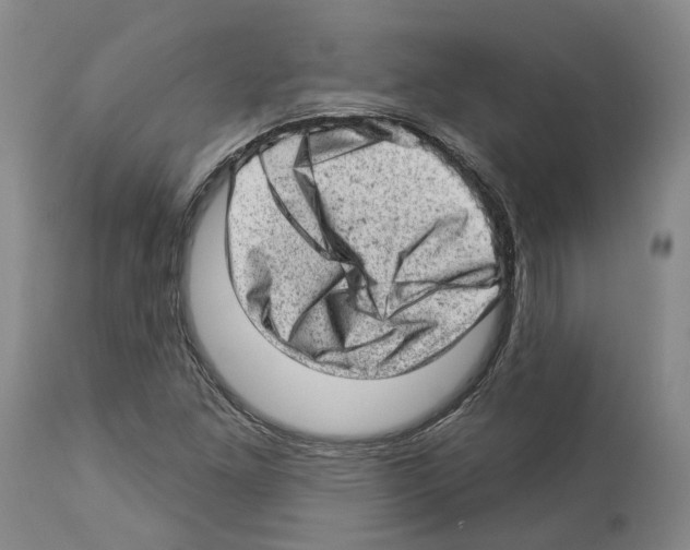 X0000112921261200910051059