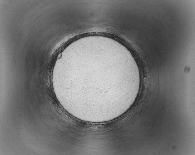 X0000112921262200910051059