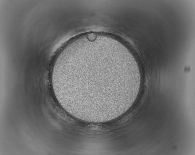 X0000112921263200910051059