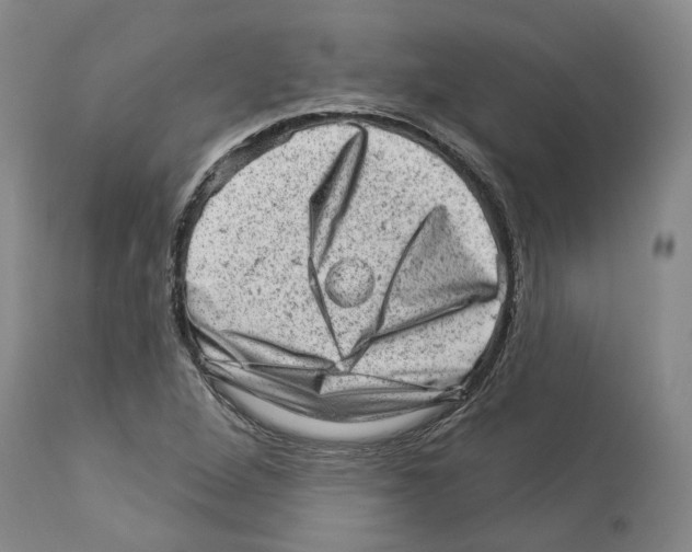 X0000112921264200910051059