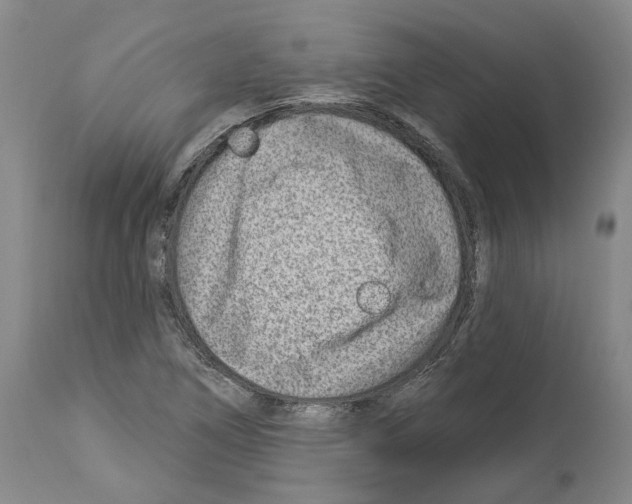 X0000112921266200910051059