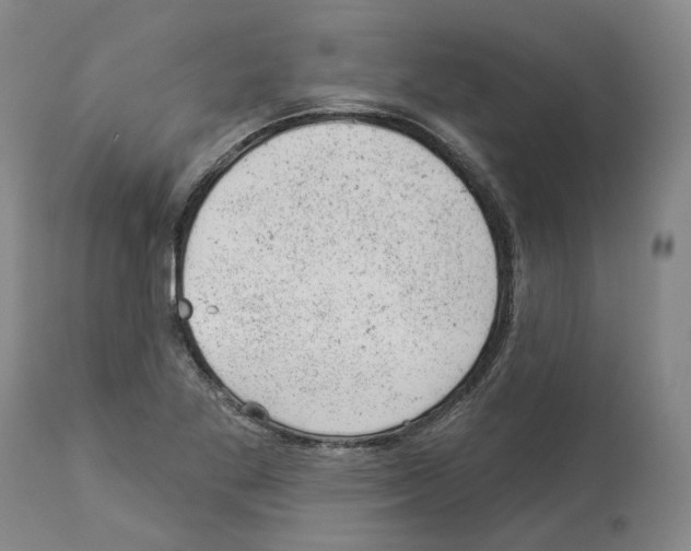 X0000112921269200910051059