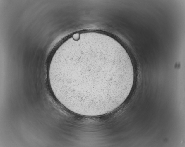 X0000112921270200910051059