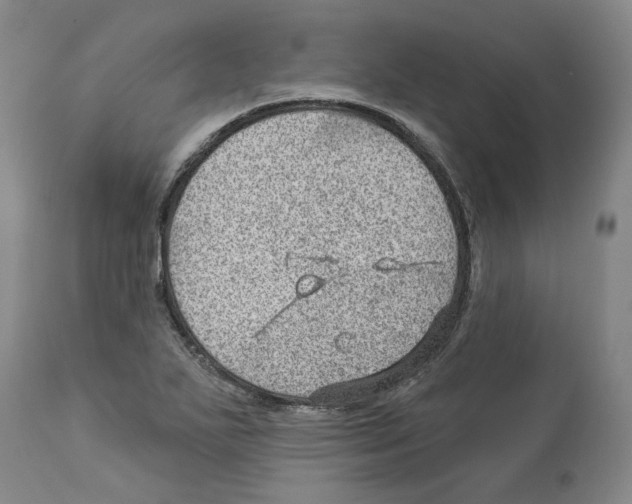 X0000112921271200910051059