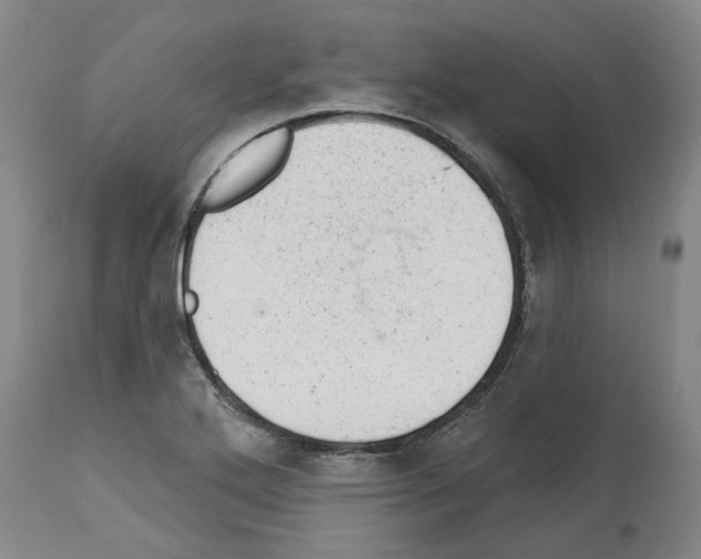X0000112921272200910051059