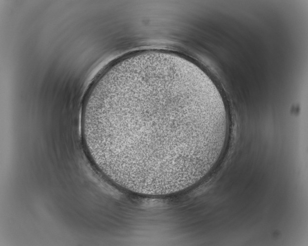 X0000112921275200910051059