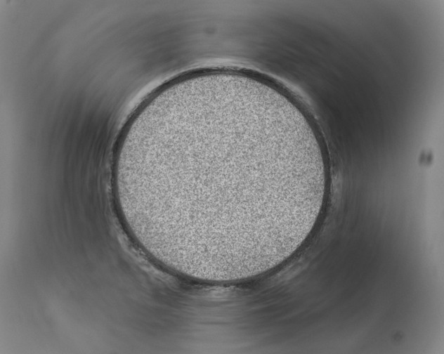 X0000112921279200910051059