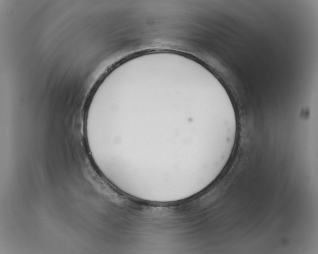 X0000112921280200910051059