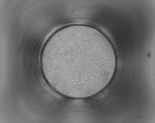 X0000112921283200910051059
