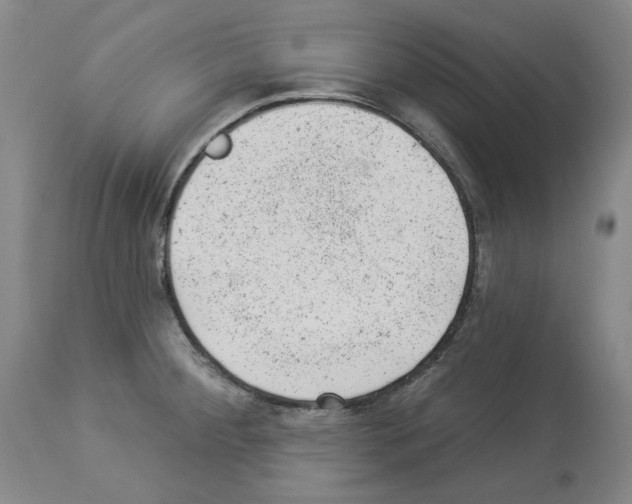 X0000112921284200910051059