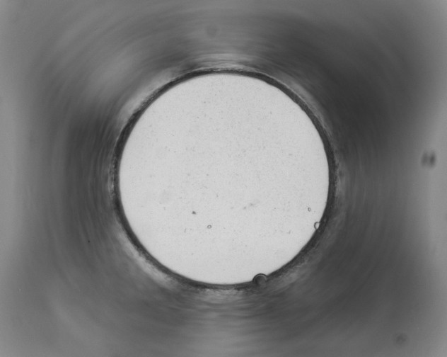 X0000112921285200910051059
