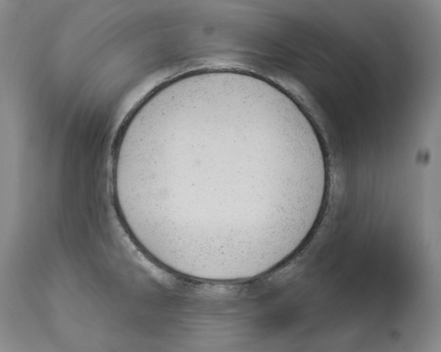 X0000112921286200910051059