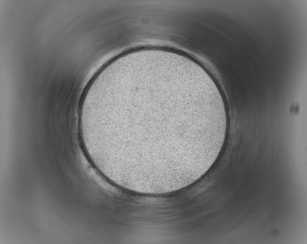 X0000112921287200910051059
