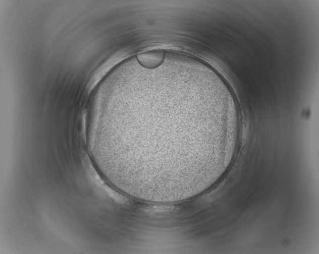 X0000112921290200910051059