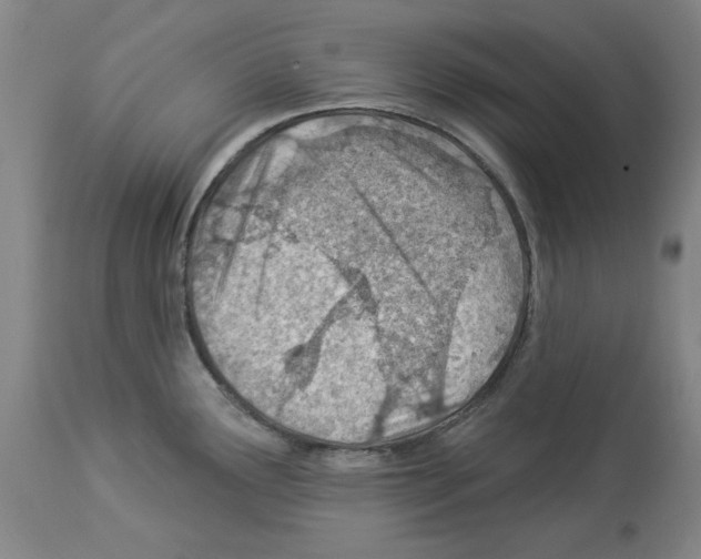X0000112921291200910051059