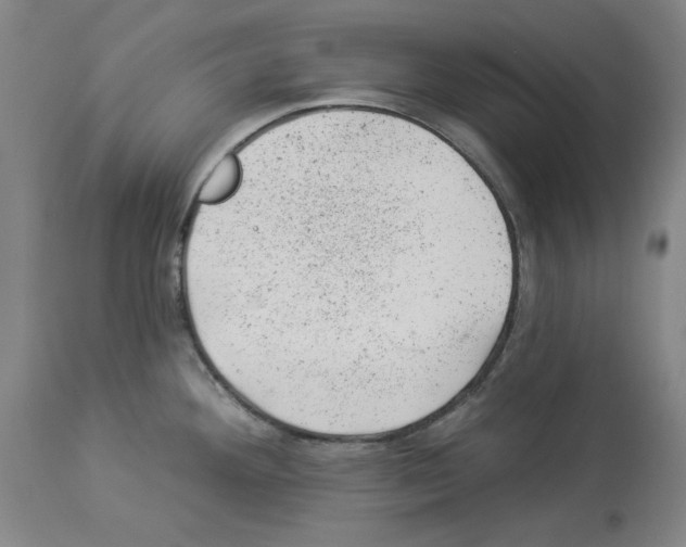 X0000112921292200910051059
