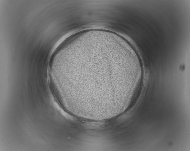 X0000112921294200910051059