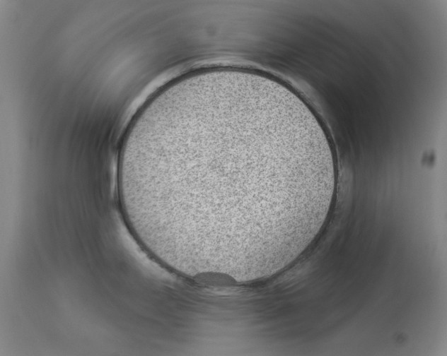 X0000112921295200910051059