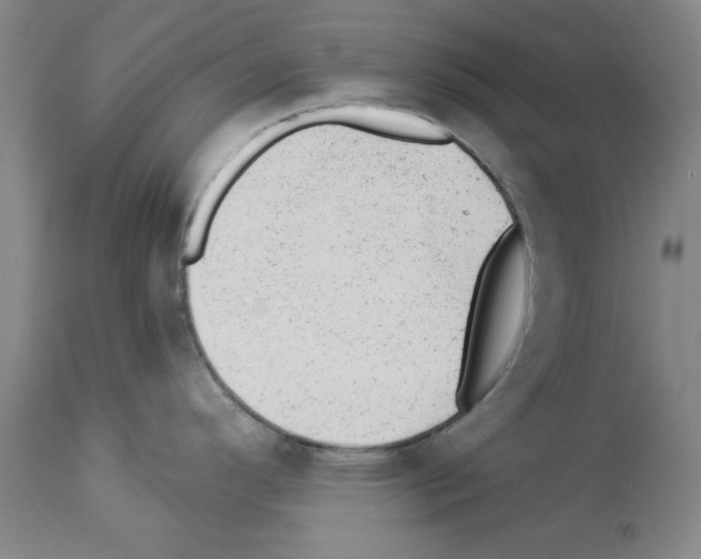 X0000112921296200910051059