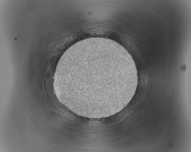 X0000112921297200910051058