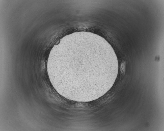X0000112921299200910051058