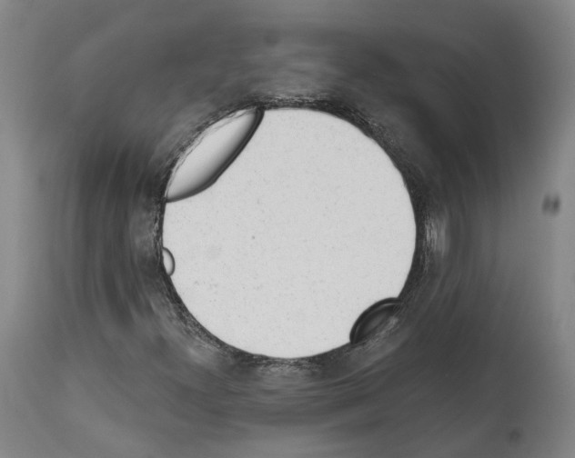 X0000112921300200910051058