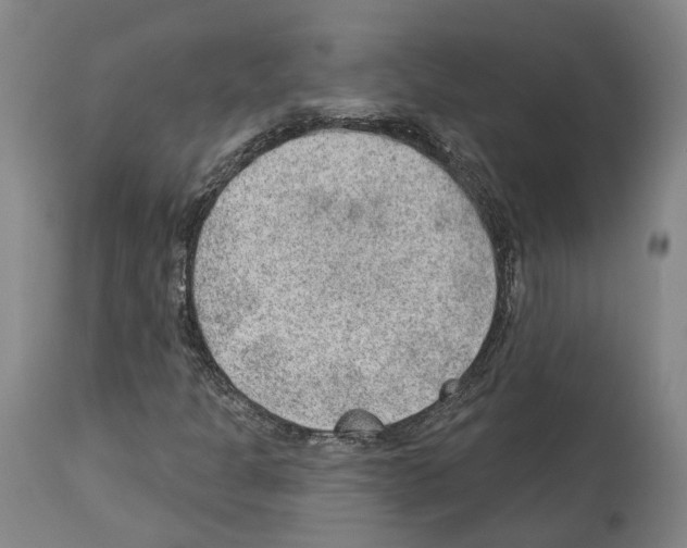 X0000112921301200910051058