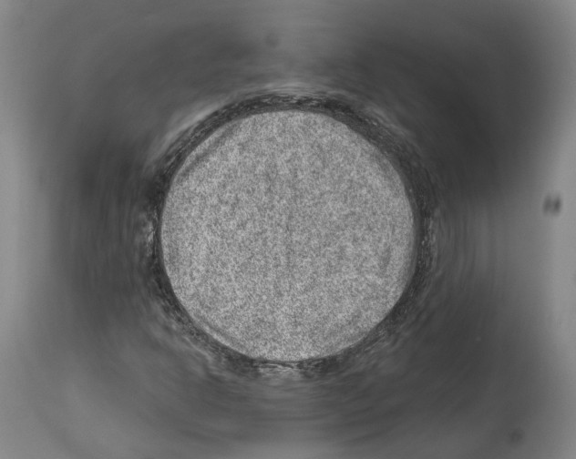 X0000112921302200910051058