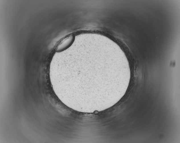 X0000112921304200910051058