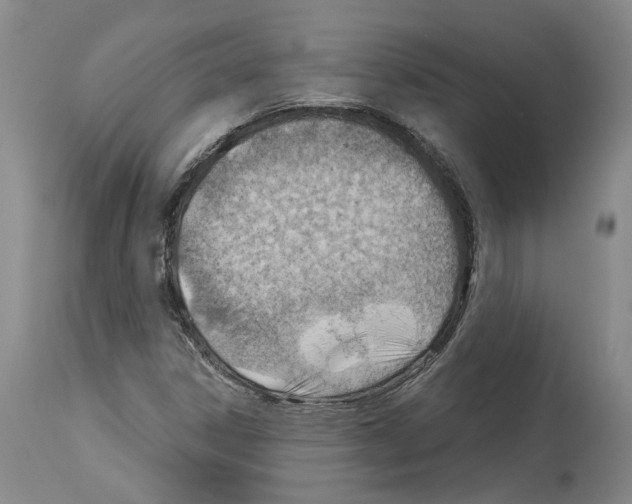 X0000112921306200910051058