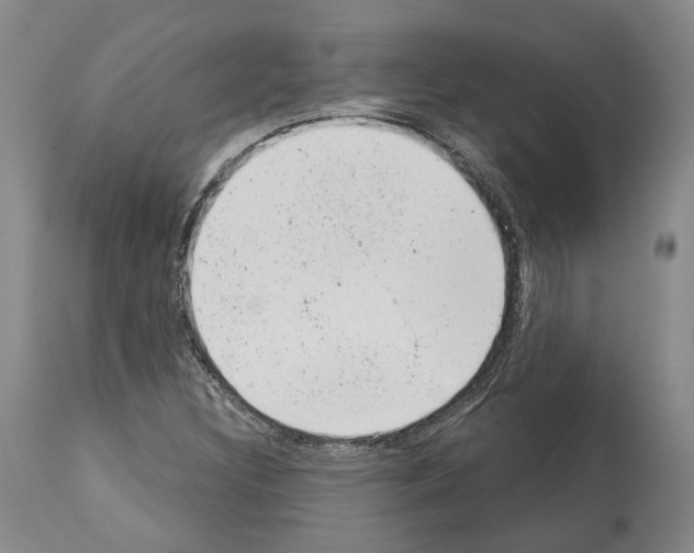 X0000112921308200910051058