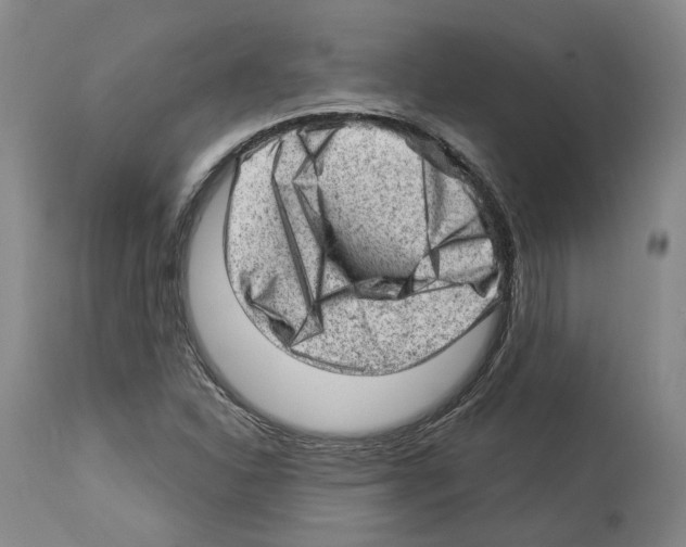 X0000112921310200910051058