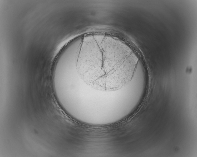 X0000112921312200910051058