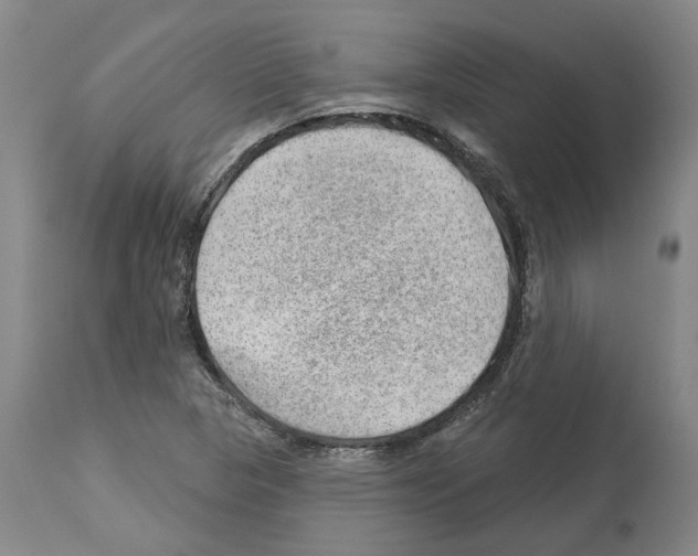 X0000112921313200910051058