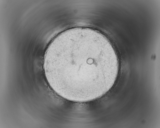 X0000112921314200910051058