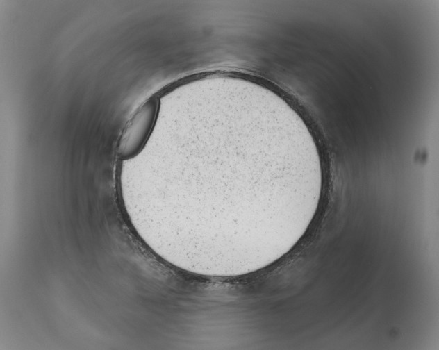X0000112921316200910051058