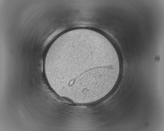 X0000112921317200910051058