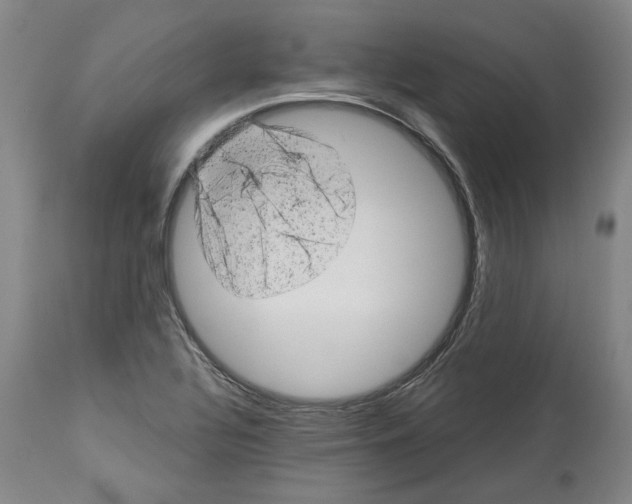 X0000112921320200910051058