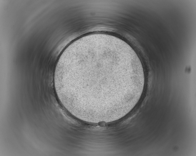 X0000112921321200910051058