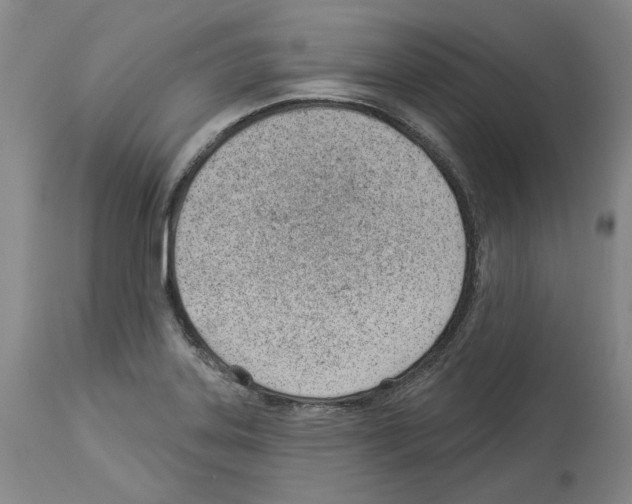 X0000112921323200910051059