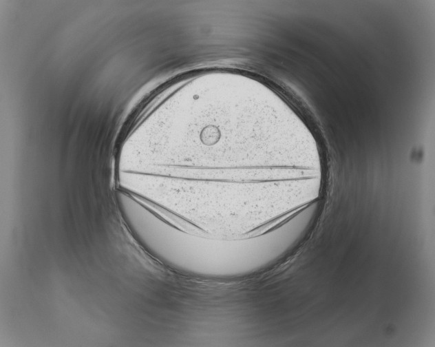X0000112921324200910051059