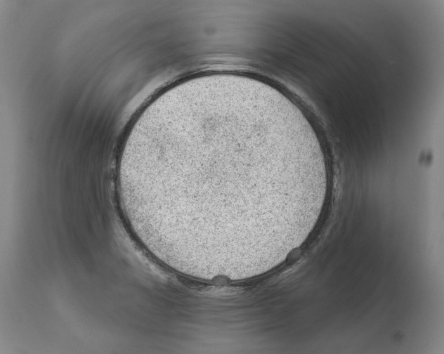 X0000112921325200910051059