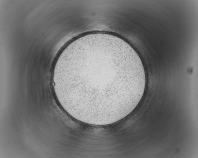 X0000112921326200910051059